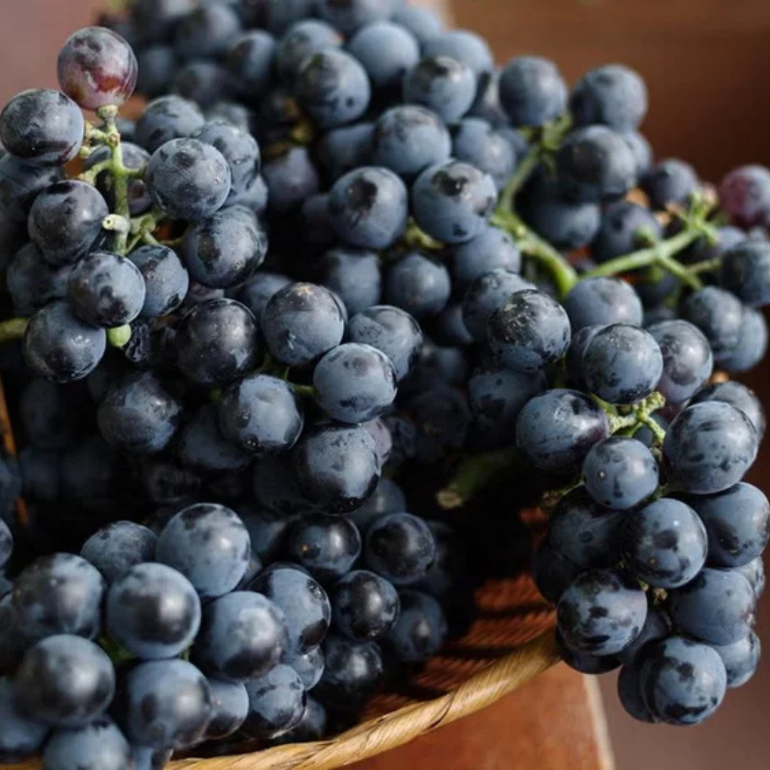 Organic Black Grapes